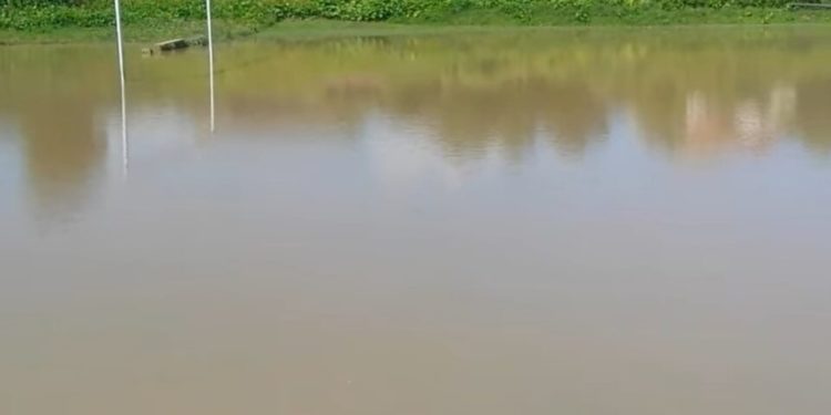 На Тернопільщині футбольне поле перетворилося на ставок (Фото)