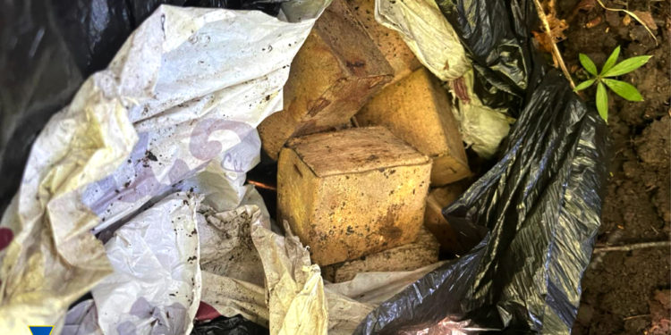 На Тернопільщині СБУ виявила схрон з боєприпасами