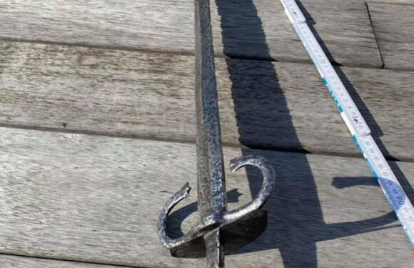 Біля Кременця знайшли меч часів королеви Бони (Фото)