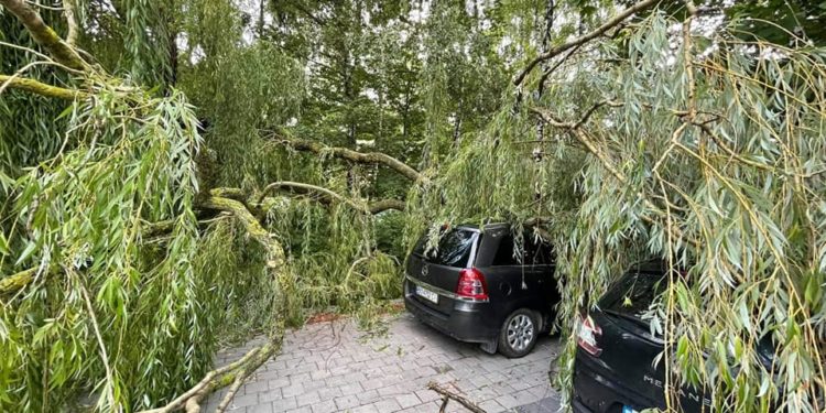 У Тернополі і області усувають наслідки негоди