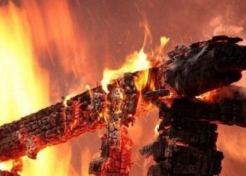 На Тернопільщині мало живцем не згоріли п’ятнадцять свиней