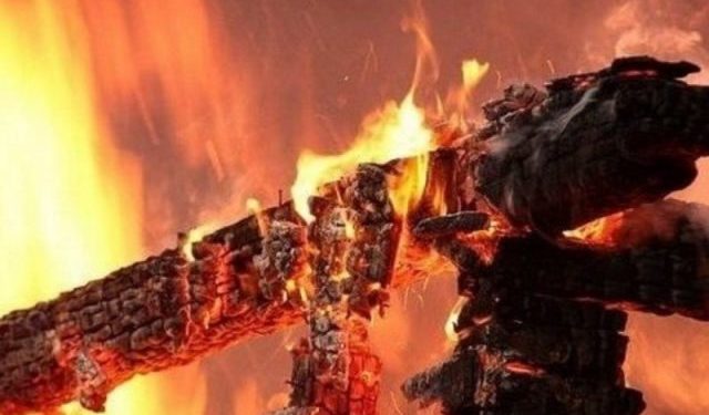 На Тернопільщині мало живцем не згоріли п’ятнадцять свиней