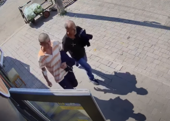 Обікрали авто, але потрапили на камеру: розшук (Відео)