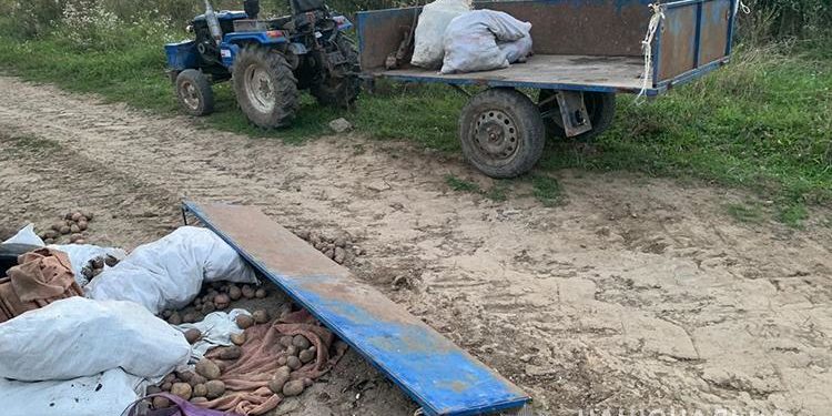 Внаслідок ДТП на Тернопільщині 22-річна пасажирка мотоблоку зламала ногу (Фото)