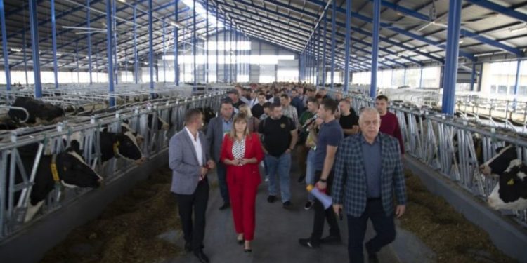 У “Бучачагрохлібпром” приїхали повчитися понад дві сотні молочників з усієї України