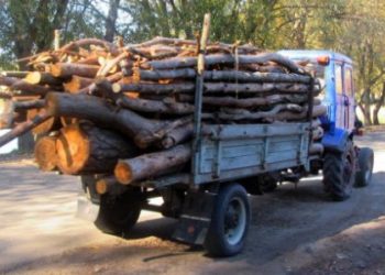 Чоловік на Чортківщині, який назбирав причіп дров, намагався відкупитися від поліцейських
