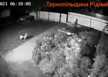 У Мережі з’явилося відео землетрусу на Тернопільщині