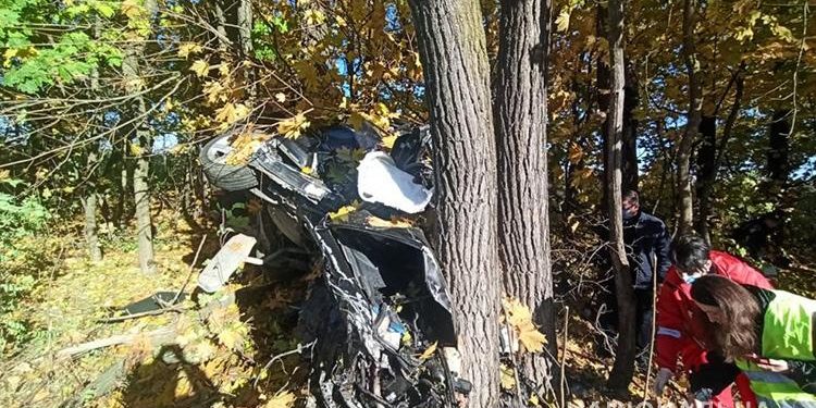 Смертельна аварія: біля Тернополя автомобіль злетів з дороги та застряг між деревами (Фото)