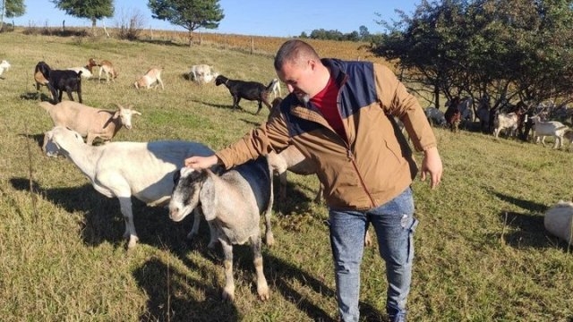 На Тернопільщині фермер вирощує майже 80 кіз різних порід (Фото)