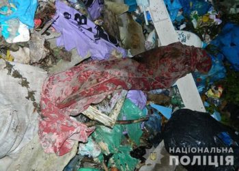 На Тернопільщині у лісосмузі знайшли убиту молоду людину (Фото, Відео)