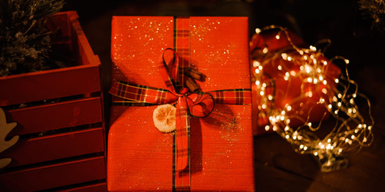 Сімейні новорічні фотосесії в студії Дзеркало