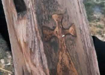 На Тернопільщині знайшли зображення двох хрестів, розрубавши дерево (Фото, Відео)