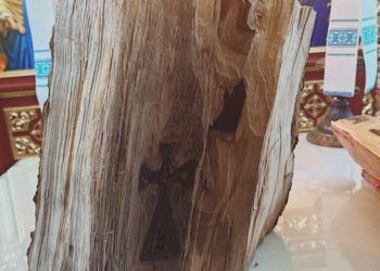 На Тернопільщині знайшли зображення двох хрестів, розрубавши дерево (Фото, Відео)