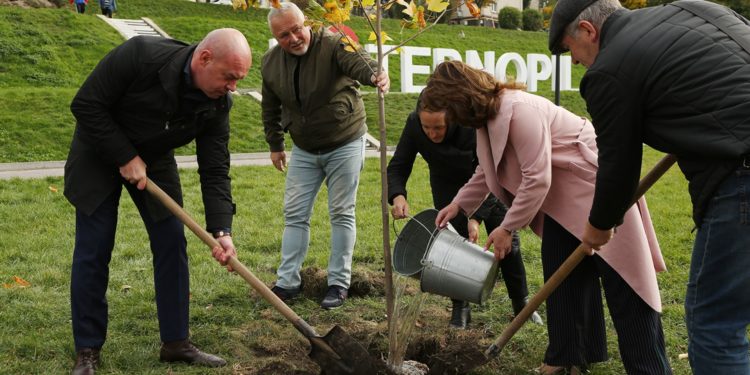 У 2021 році в Тернополі висаджено 600 нових дерев та кущів