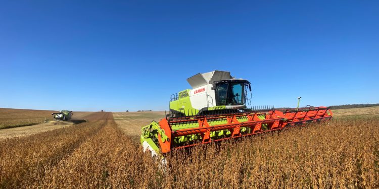 У «Контінентал» завершується збиральна кампанія