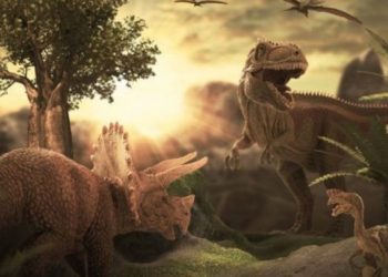 У Тернополі будують парк Юрського періоду (Відео)