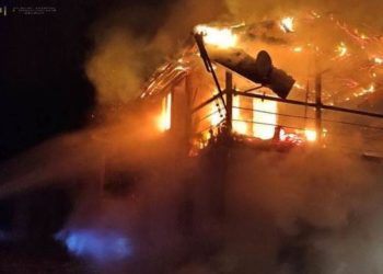 Біля Тернополя на фермі згоріли десятки биків (Фото)