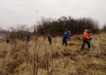 Волонтери з Любліна прибирають кладовище на Тернопільщині