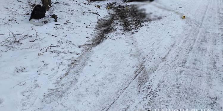 На Тернопільщині дівчина-водійка збила чоловіка, коли їхала заднім ходом (Фото)