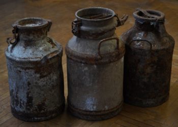 На Тернопільщині в трьох бідонах віднайдено найбільший архів ОУН