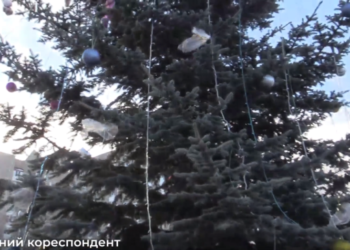 У Тернополі з новорічної ялинки покрали іграшки (Відео)