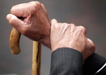 На Чортківщині пенсіонер викопав на своєму городі ставок: його судили