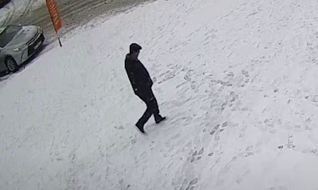 Розшукують чоловіка, який обікрав тернополянку (Відео)