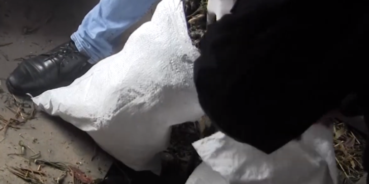 На Тернопільщині у чоловіка вилучили два кілограми канабісу та сушене листя коноплі (Фото)