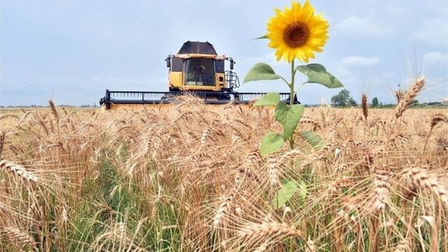 Основні відомості про об’єднання водокористувачів (ОВК). Законопроєкт № 5202-д