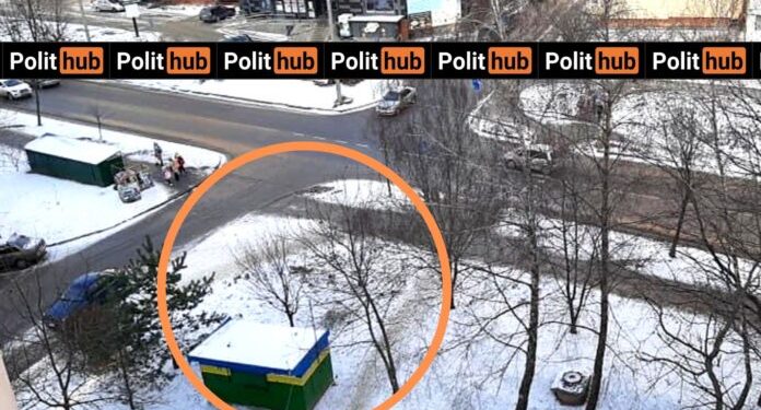 Чекати на забудову? В одному з тернопільських дворів зрубали здорові дерева