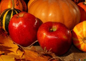 Не яблуком єдиним: Гадз вирощуватиме гарбуз і займеться переробкою