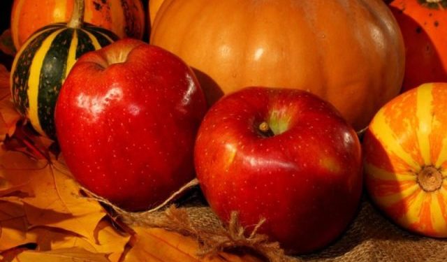 Не яблуком єдиним: Гадз вирощуватиме гарбуз і займеться переробкою