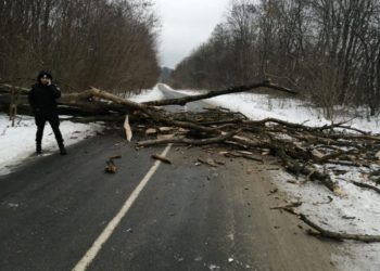 вітер наробив біди
