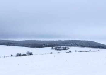 Природний заповідник Тернопільщини святкує день заснування