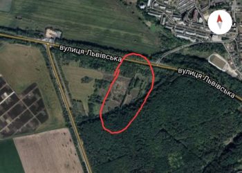 У Тернополі під час чищення лісосмуги зрізали понад 70 здорових дерев