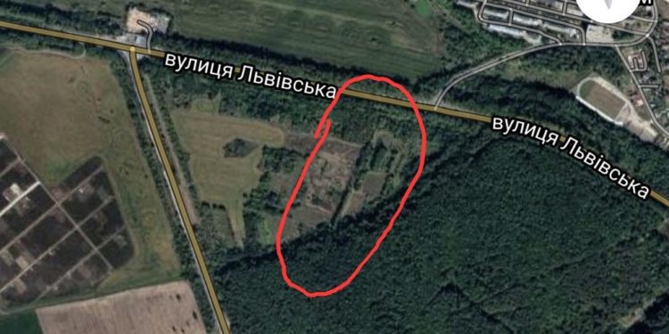 У Тернополі під час чищення лісосмуги зрізали понад 70 здорових дерев