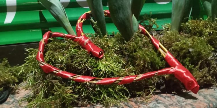 Тернопіль прикрасився до Дня закоханих. ФОТОРЕПОРТАЖ