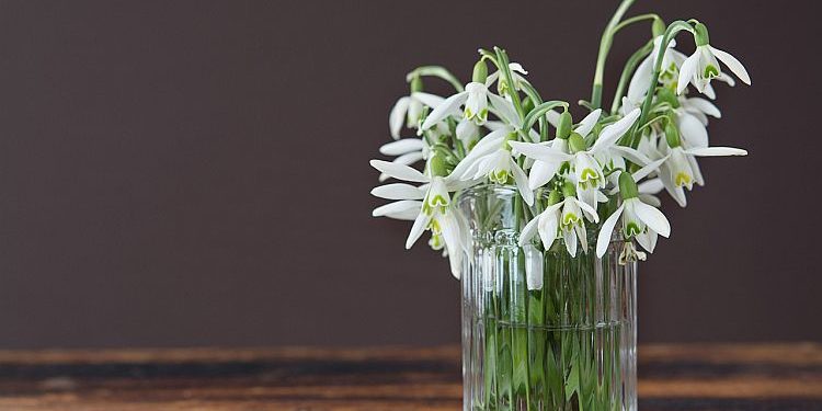 У Тернополі вже продають перші підсніжники