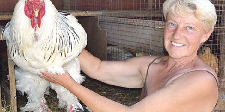 На Тернопільщині відбудеться виставка-ямарок декоративного птаства