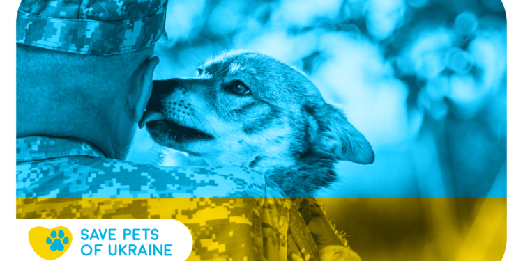 Save Pets of Ukraine: стартувала ініціатива з допомоги чотирилапим під час війни