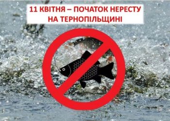 Стало відомо, з якого числа на Тернопільщині діятиме весняна заборона на вилов риби