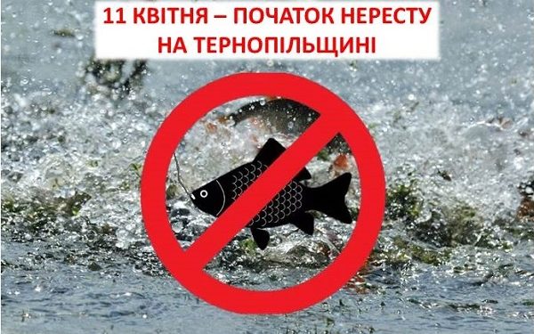 Стало відомо, з якого числа на Тернопільщині діятиме весняна заборона на вилов риби