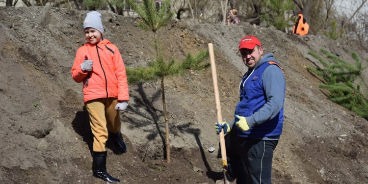 У Чорткові побільшає парків