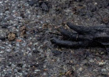 Томик Бродського у розстрільній кімнаті, чи можлива російська культура після Бучі?