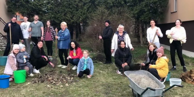 Жертви воєнної агресії посадили горіховий гай у Чудотворному місці на Тернопільщині