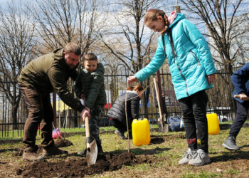 Військові Тернопільщини спільно з переселенцями висадили кущі калини на території Державного архіву Тернопільської області