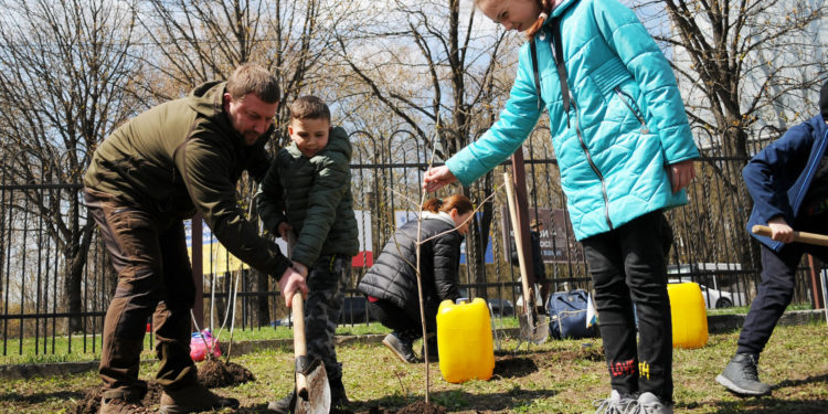 Військові Тернопільщини спільно з переселенцями висадили кущі калини на території Державного архіву Тернопільської області