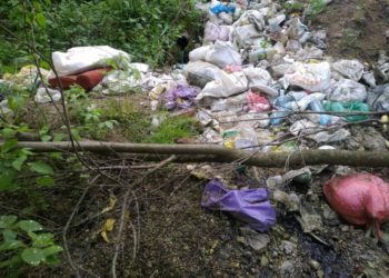 Мальовниче урочище на Тернопільщині перетворили у сміттєзвалище (Фото)