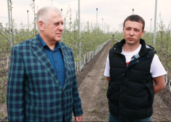 Ініціатива Гадза: На Тернопільщині висадили “Сад перемоги” (Відео)