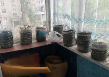 У домашнього насильника з Тернополя випадково виявили марихуану на балконі